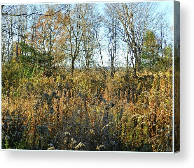 November Acrylic Print featuring the photograph Field in November at Sunset with a View by Lise Winne