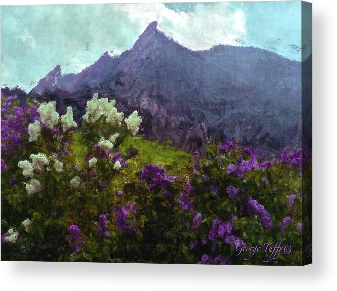 Flatirons Acrylic Print featuring the digital art Flatirons in spring by George Tuffy