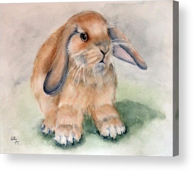 Bunny Acrylic Print featuring the painting Floppy Ear Bunny by Kelly Mills