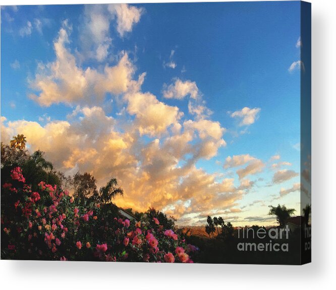 Southern California Acrylic Print featuring the photograph Floral Sunset by Brian Watt