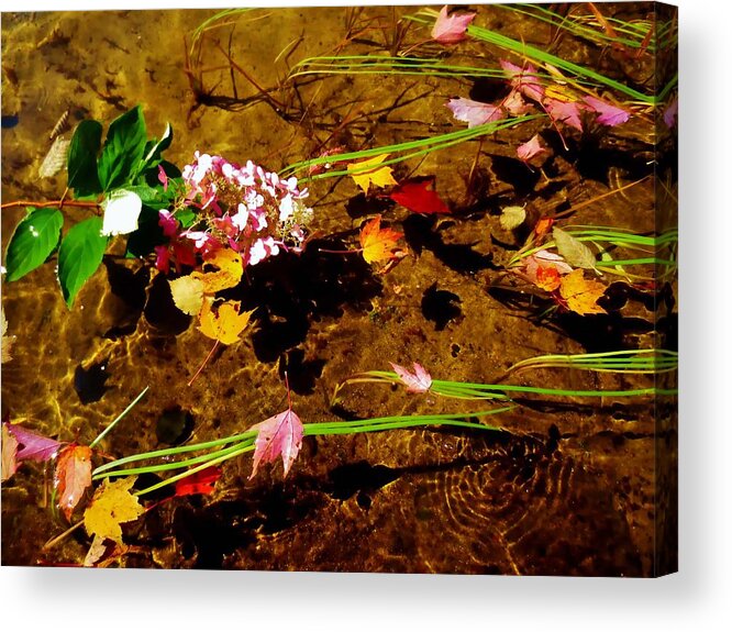  Acrylic Print featuring the photograph Flower Lake by Michelle Hauge
