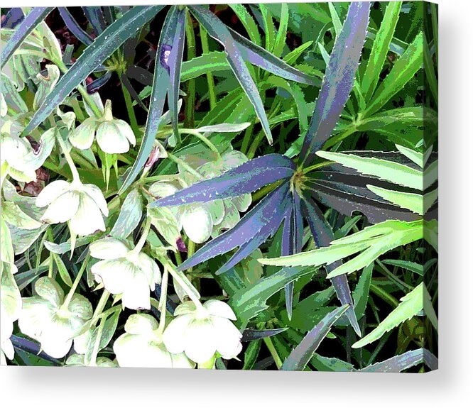 Flowers Acrylic Print featuring the digital art Flowers and Foliage by Nancy Olivia Hoffmann