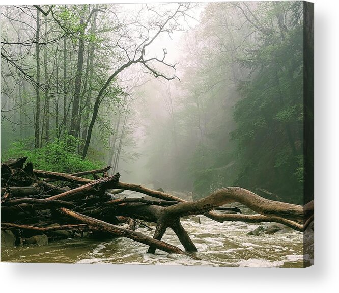 River Acrylic Print featuring the photograph Foggy River by Brad Nellis