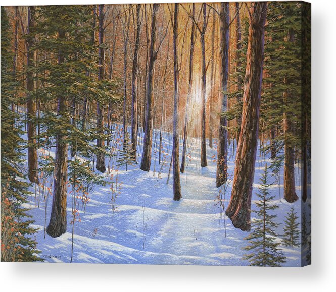 Canadian Acrylic Print featuring the painting Follow The Light by Jake Vandenbrink