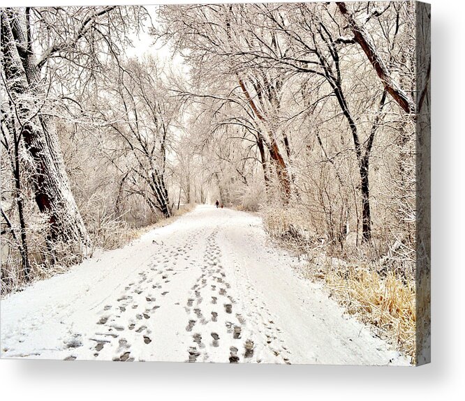 Footprints Acrylic Print featuring the photograph Footprints by Susie Loechler