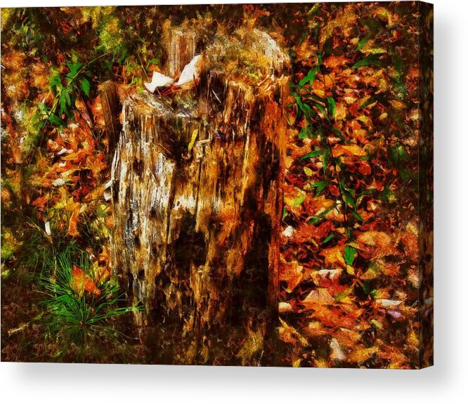 Stump Acrylic Print featuring the mixed media Forest Floor in Autumn by Christopher Reed