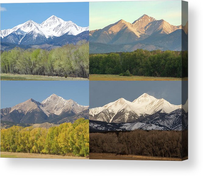 Four Seasons Acrylic Print featuring the photograph Four Seasons - Mt. Yale by Aaron Spong