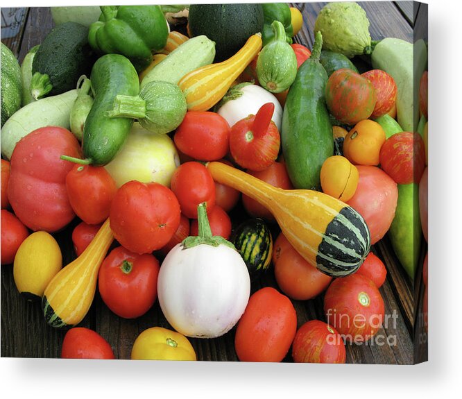 Tomatoes Acrylic Print featuring the photograph Freshly Picked Summer Harvest 8844 by Jack Schultz