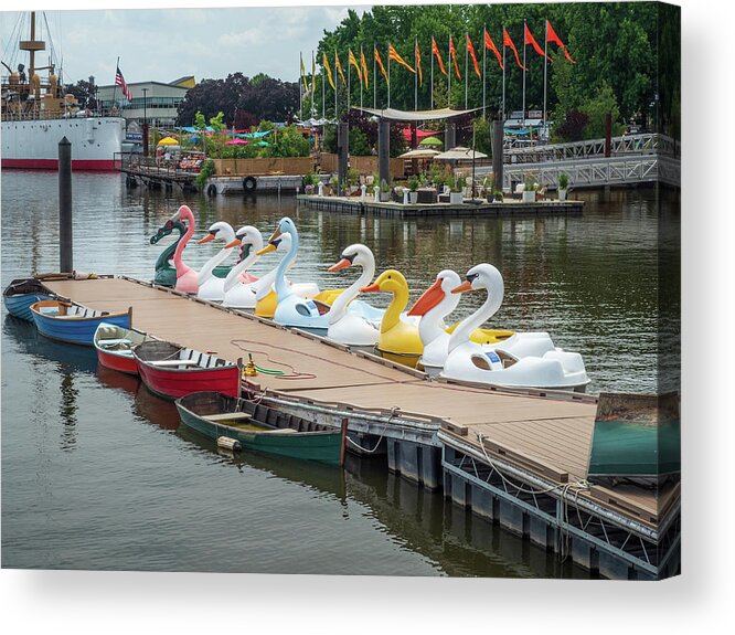 Philadelphia Acrylic Print featuring the photograph Get Your Ducks In A Row by Kristia Adams