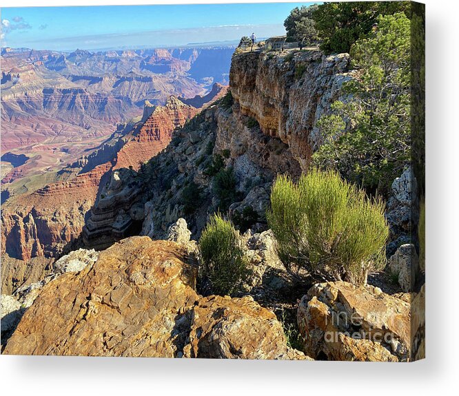 Grand Canyon Acrylic Print featuring the photograph Grand Canyon South Rim by Jeanette French