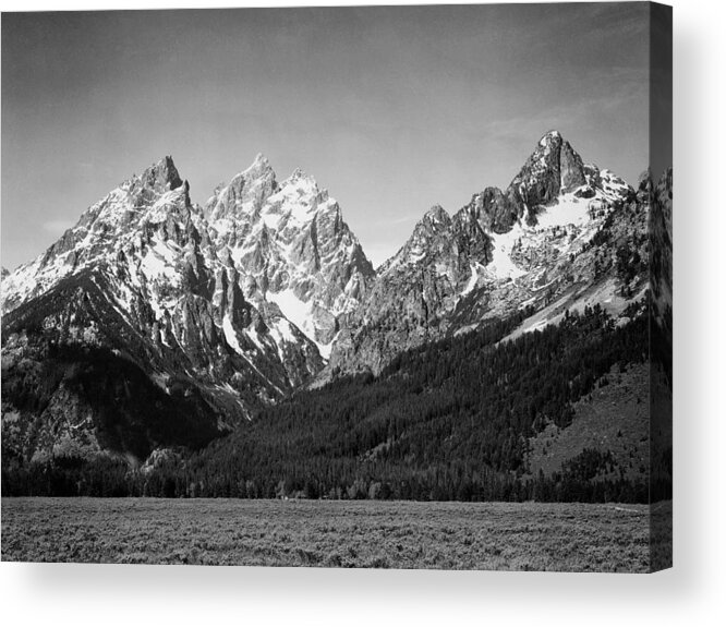 Ansel Adams Acrylic Print featuring the photograph Grassy valley and snow covered peaks, Grand Teton National Park, Wyoming, 1941 by Ansel Adams