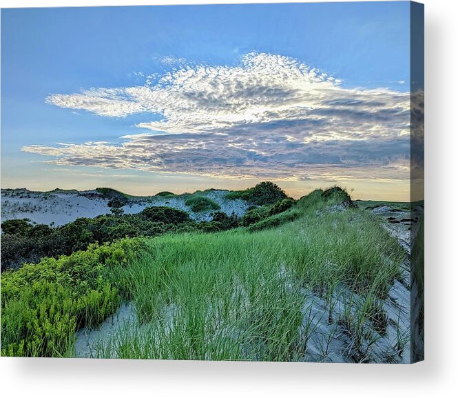 Cape Cod National Seashore Acrylic Print featuring the photograph Grassy Winding Dunes by Annalisa Rivera-Franz