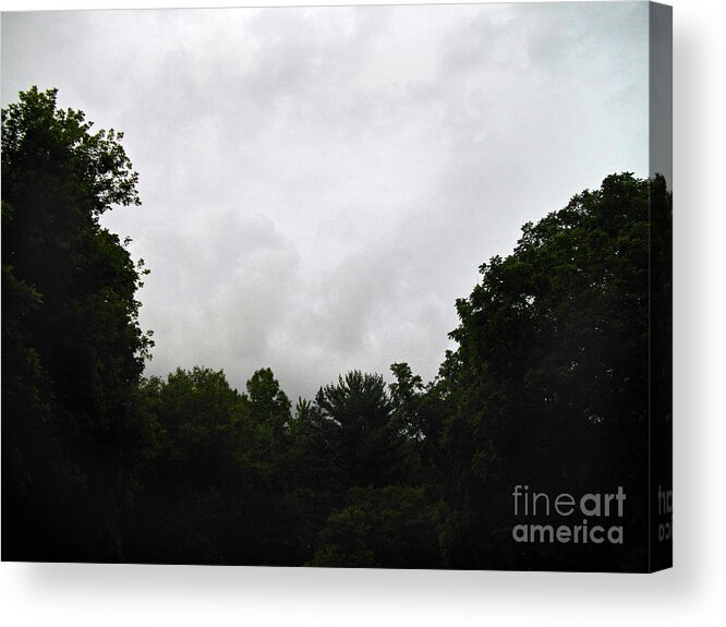 Landscape Acrylic Print featuring the photograph Green Tree Line Under The Stormy Clouds by Frank J Casella