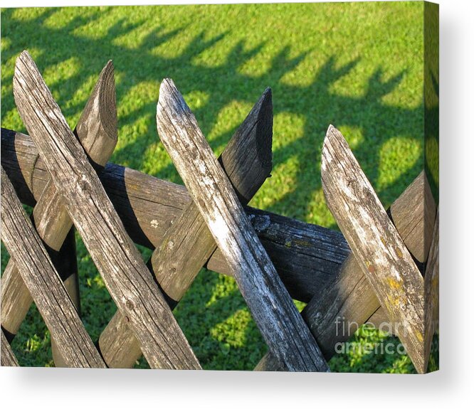 Fence Acrylic Print featuring the photograph Greener on the Other Side by Ann Horn