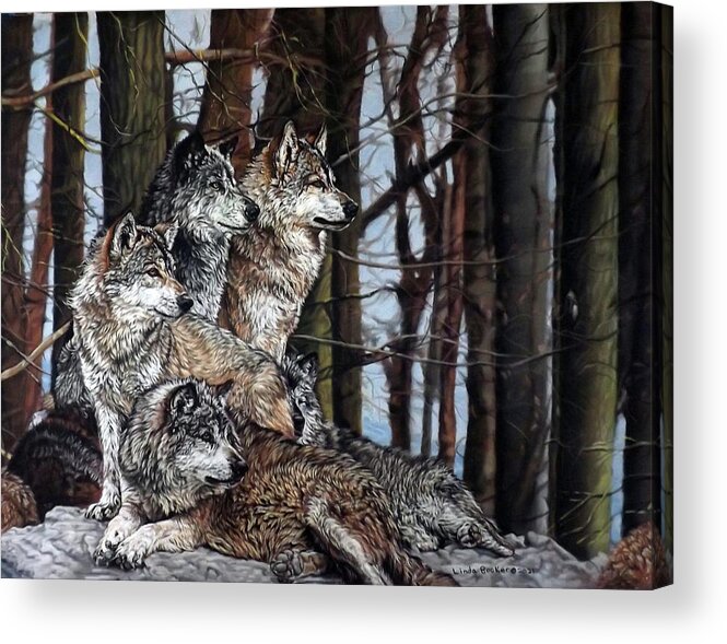 Wolves Acrylic Print featuring the painting Grey Wolves by Linda Becker