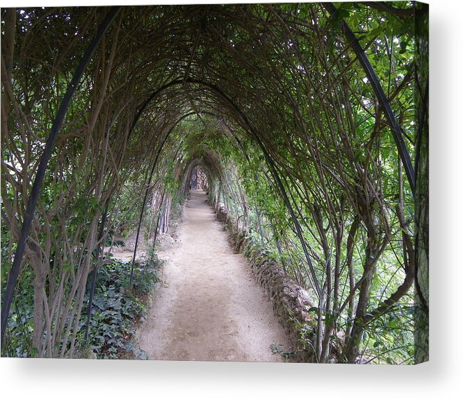 Arbour Acrylic Print featuring the photograph Guell arbour by Lisa Mutch