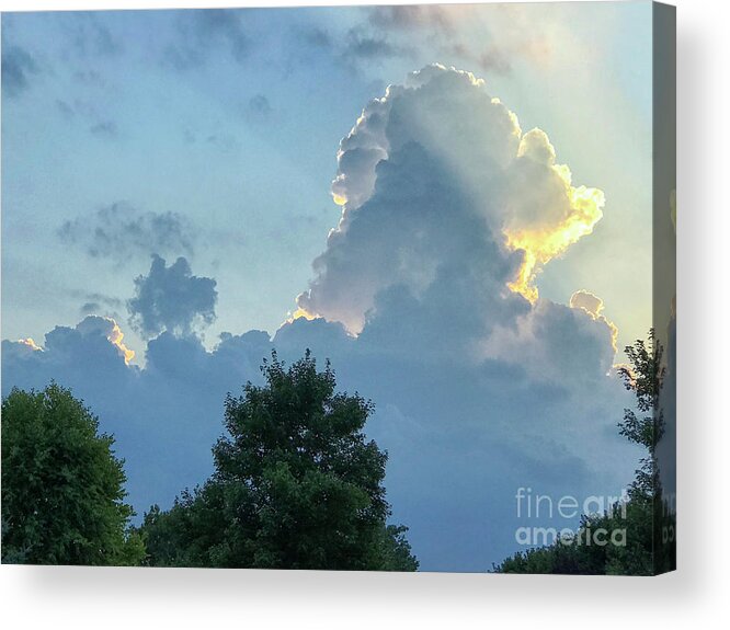 Clouds Acrylic Print featuring the photograph Her Majesty by Karen Adams