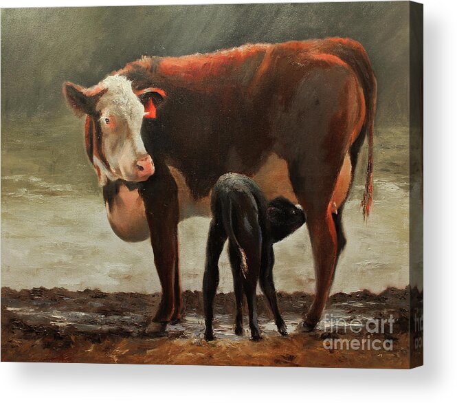 Cow Painting By Terri Meyer Acrylic Print featuring the painting Hereford Pasteurized by Terri Meyer