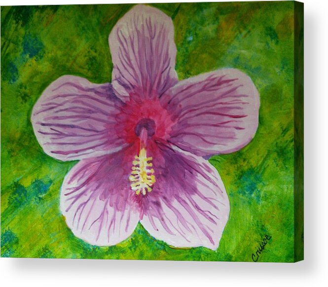 Hibiscus Acrylic Print featuring the painting Hibiscus Beauty by Margaret Crusoe