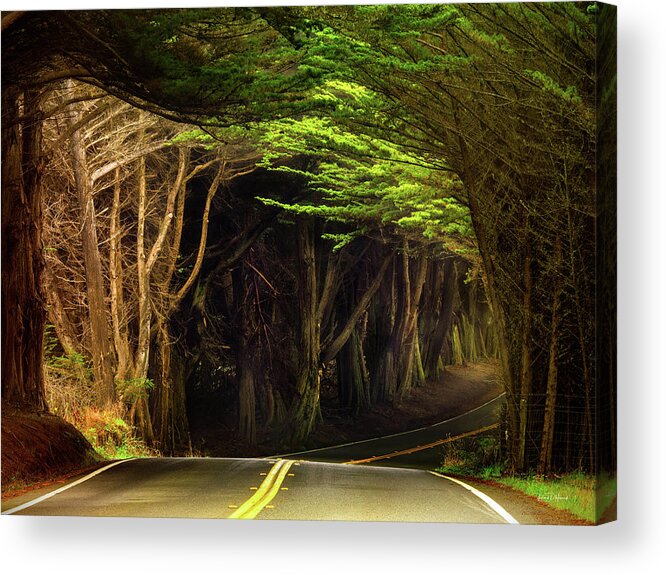 Award-winning Photography Acrylic Print featuring the photograph Hwy 1 by Leland D Howard