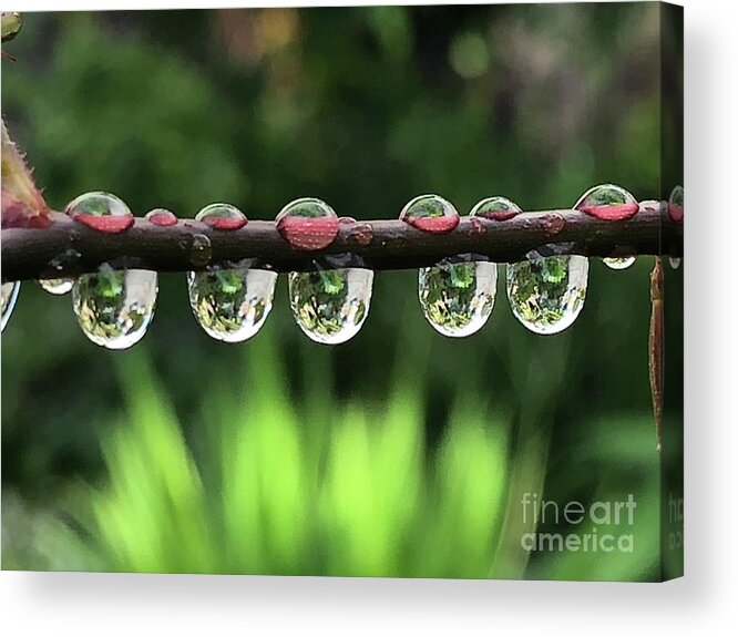Water Acrylic Print featuring the photograph Hydration by Tina Marie