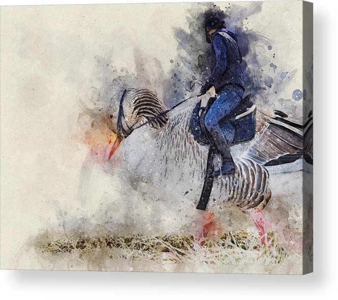 Art Acrylic Print featuring the digital art I think my goose is lame by Geir Rosset