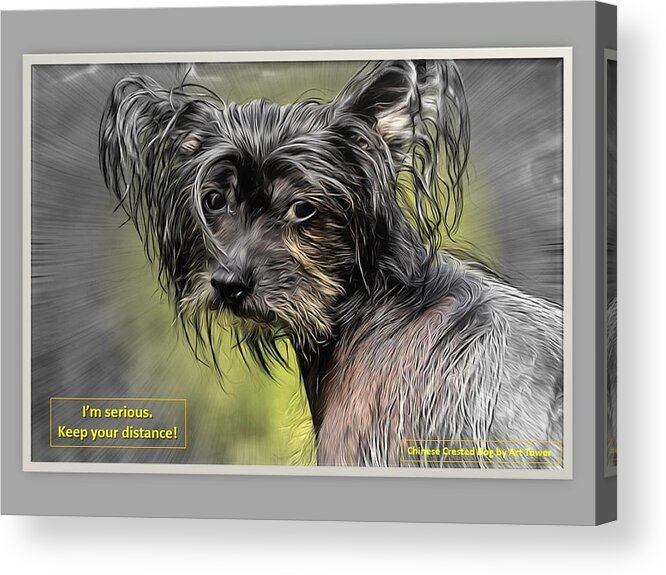 Dog Acrylic Print featuring the digital art Keep Your Distance by Nancy Ayanna Wyatt