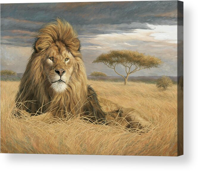 Lion Acrylic Print featuring the painting King Of The Pride by Lucie Bilodeau