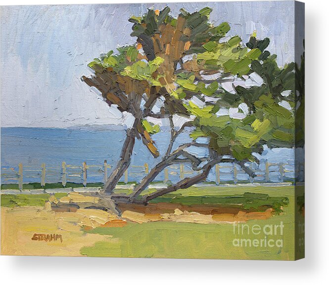 Cypress Tree Acrylic Print featuring the painting Leaning Cypress Tree - La Jolla, San Diego, California by Paul Strahm