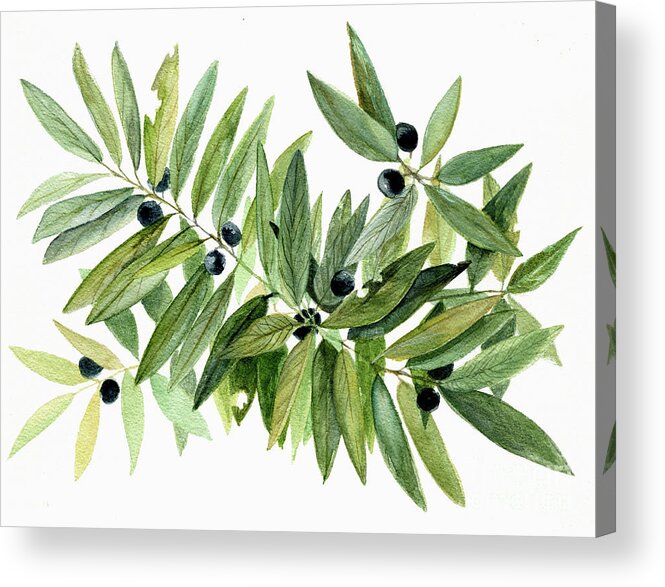 Botanical Acrylic Print featuring the painting Leaves and Berries by Laurie Rohner