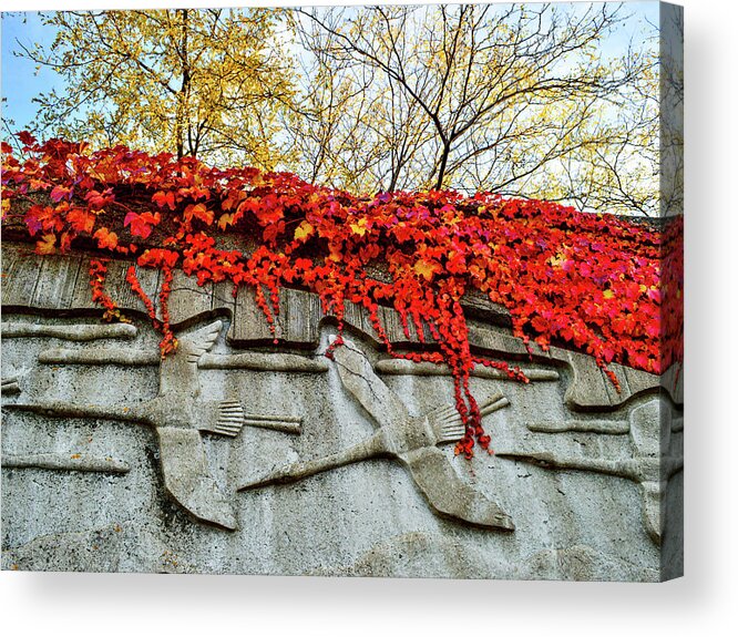 Fall Colors Acrylic Print featuring the photograph Leaves at the Levee by Susie Loechler