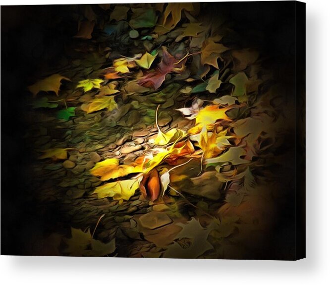 Leaves Acrylic Print featuring the photograph Leaves in the Creek by Christopher Reed