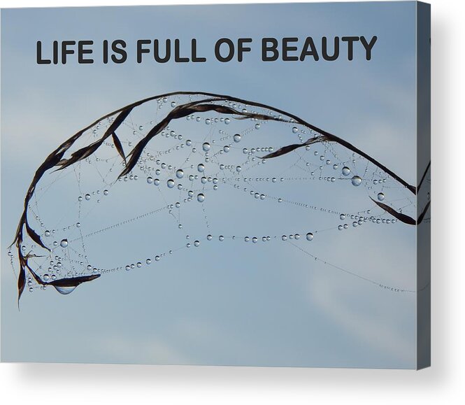 Life Is Full Of Beauty Acrylic Print featuring the photograph Life Is Full Of Beauty by Gallery Of Hope