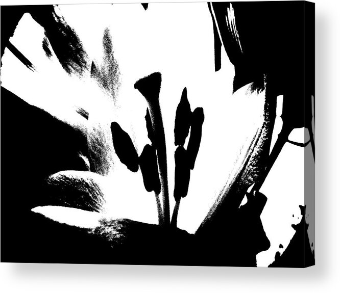  Acrylic Print featuring the photograph Lily by Gena Herro