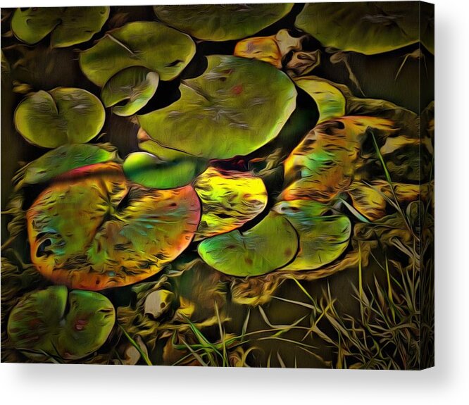 Lily Acrylic Print featuring the mixed media Lily Pads by Christopher Reed