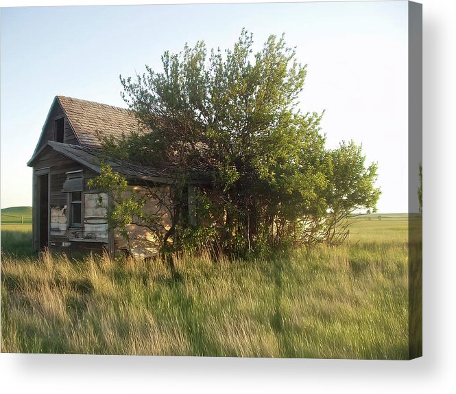 Farmhouse Acrylic Print featuring the photograph Little House on the Prairie 1 by Cathy Anderson