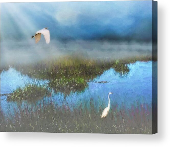 Swamp Acrylic Print featuring the photograph Marsh Mist Cumberland Island, Georgia by Marjorie Whitley