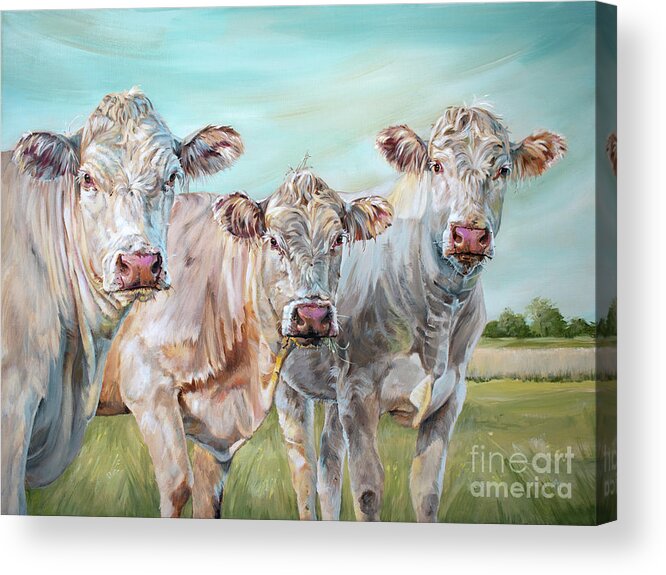 Cow Acrylic Print featuring the painting Mavis in the Middle - 3 Cows Painting by Annie Troe