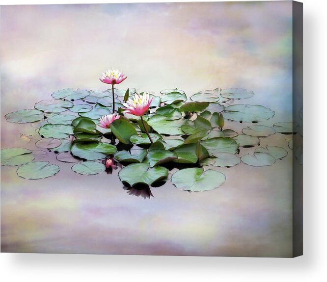Flowers Acrylic Print featuring the photograph Monet Lilies by Jessica Jenney