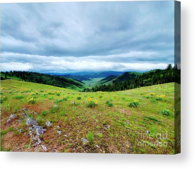 Montana Acrylic Print featuring the photograph Montana Beauty- National Bison Range 2022 by Janie Johnson