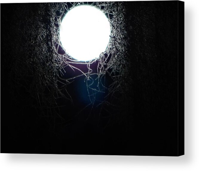 Abstract Acrylic Print featuring the photograph Moon Light by Gena Herro