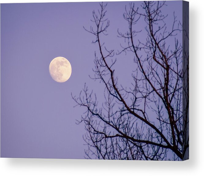 Full Moon Acrylic Print featuring the photograph January Moonshine by Susie Loechler