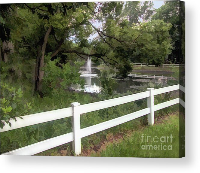 Taylor Residences Acrylic Print featuring the photograph Morning Walk by Pond by Amy Dundon