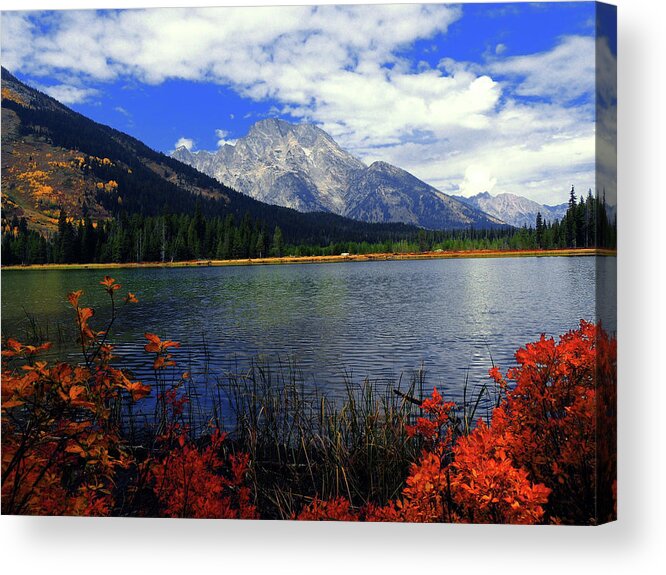 Mount Moran Acrylic Print featuring the photograph Mount Moran in the Fall by Raymond Salani III