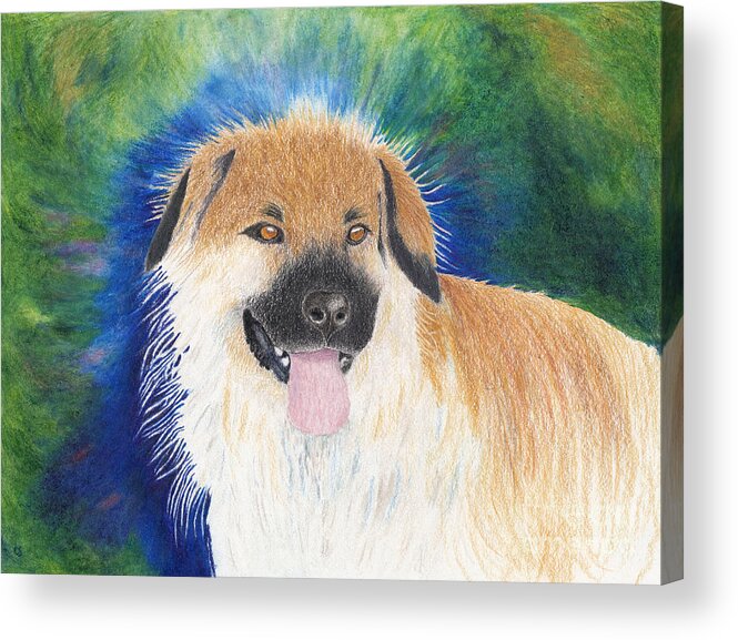 Dog Portrait Acrylic Print featuring the painting My Best Girl Teddi Bear with Background by Conni Schaftenaar