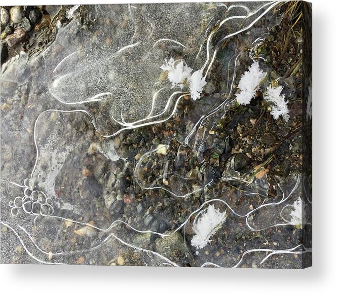 New Ice Acrylic Print featuring the photograph New ice by Nicola Finch