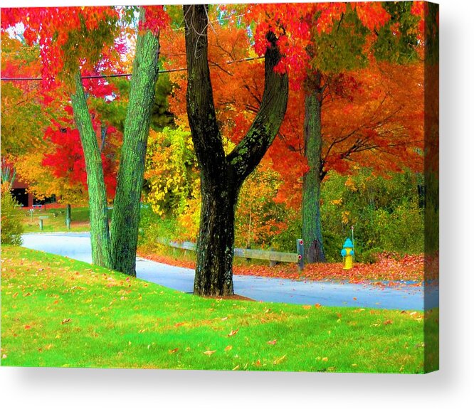 - Nh Fall Trees Acrylic Print featuring the photograph - NH Fall Trees by THERESA Nye