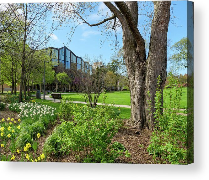 Chicagoland Acrylic Print featuring the photograph Oak Park Library and Scoville Park 1 by Todd Bannor