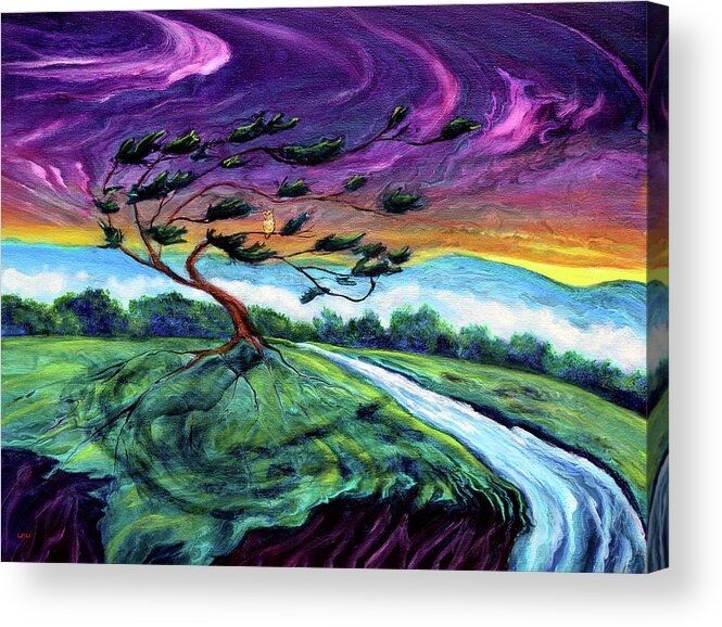 Cypress Tree Acrylic Print featuring the painting Owl in a Windswept Cypress by Laura Iverson
