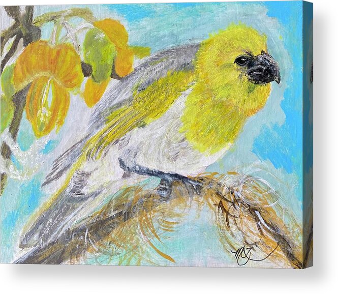 Palila Acrylic Print featuring the painting Palila in the Mamane Tree by Melody Fowler